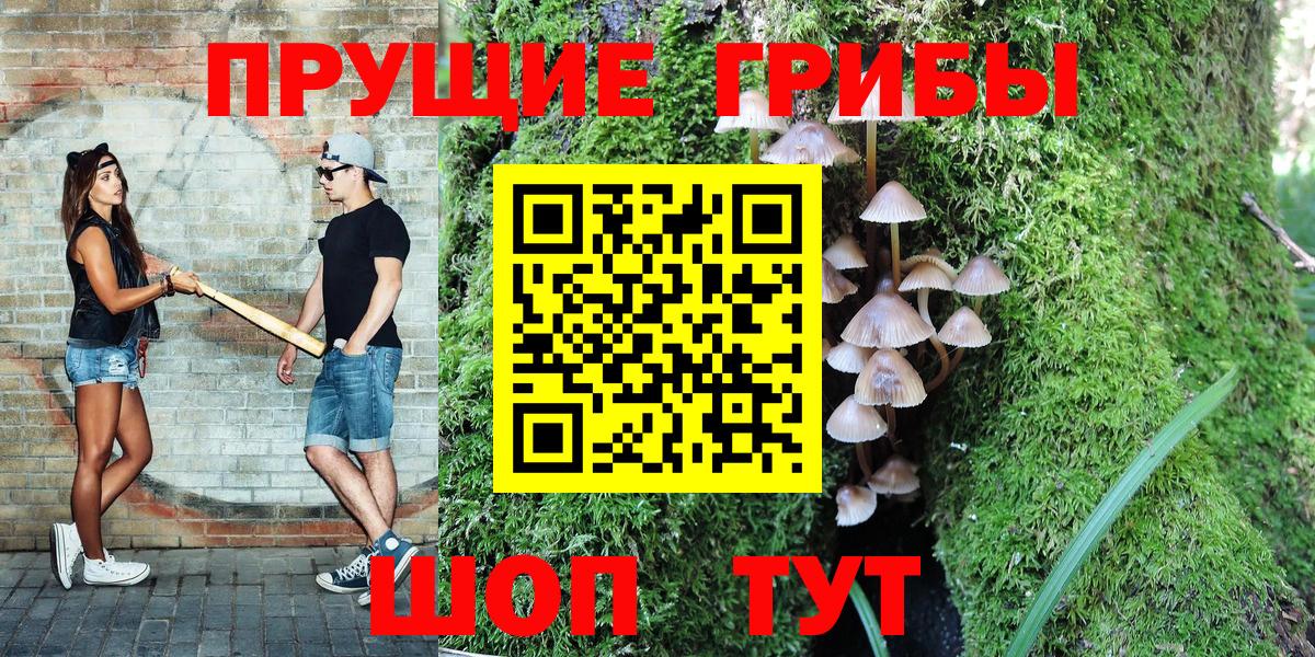 Псилоцибиновые грибы Psilocybine cubensis Арсеньев